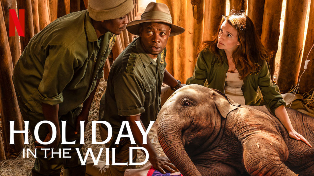 descargar Holiday In The Wild