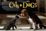 Como perros y gatos (2001) HD 1080p Latino 5.1 Dual