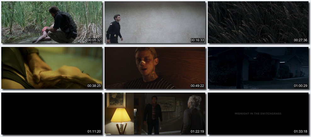 Midnight in the Switchgrass (2021) 1080p Subtitulado